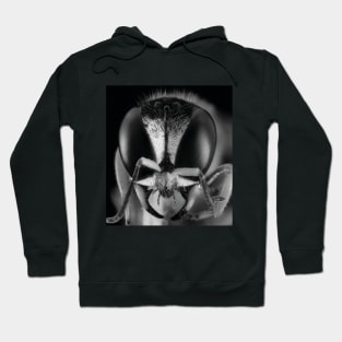 realistic image Of the Bee - macro head detail Hoodie